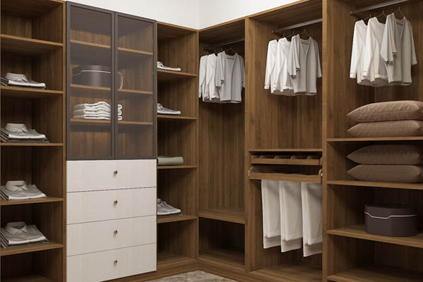 Maintenance and cleaning of Wardrobe closet